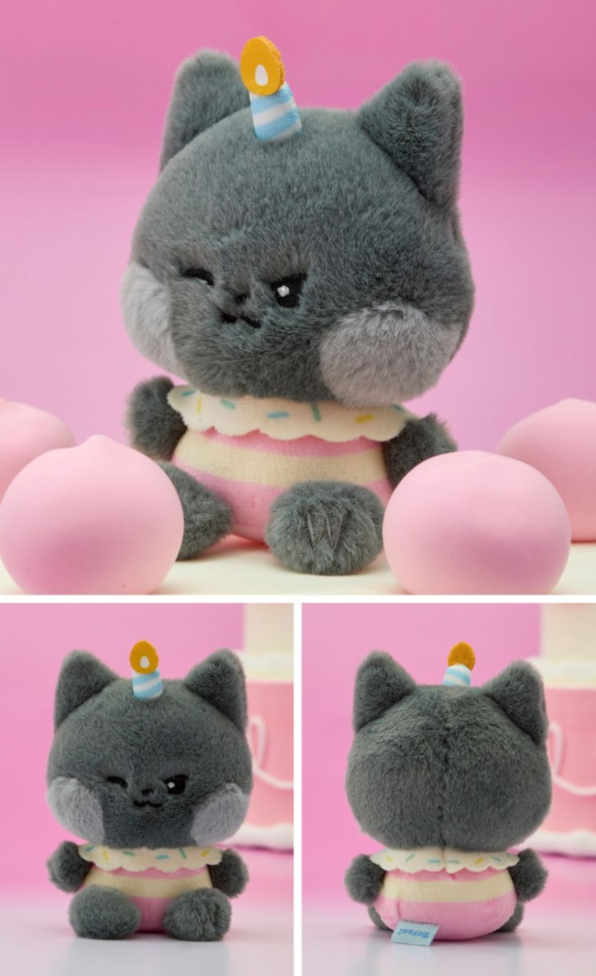 ZB1 - ZERONI MINI PLUSH HOME PARTY Nolae